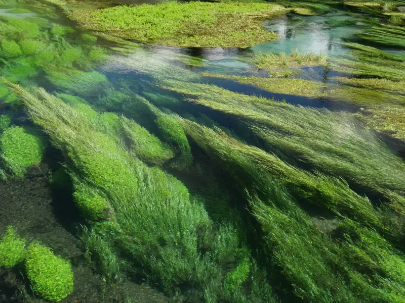 清大超声自动化除油除锈清洗线在精密零件加工中的技术优势