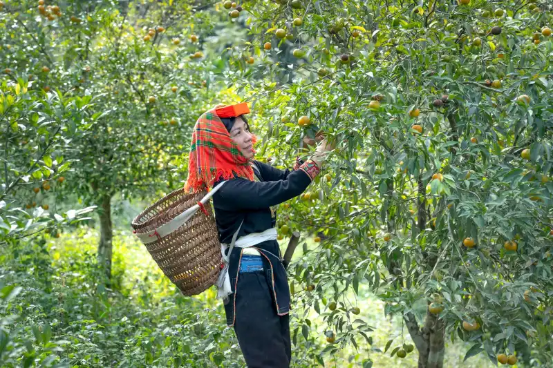 工业清洗设备选型对比：单槽超声波清洗机与自动清洗线方案