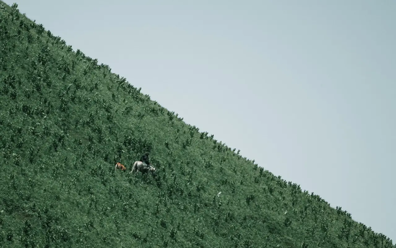 工业清洗行业动态：超声波技术如何推动五金件洁净度标准升级